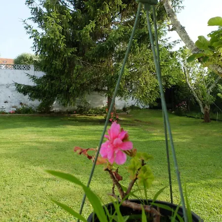 Lugar De Cal Fene
