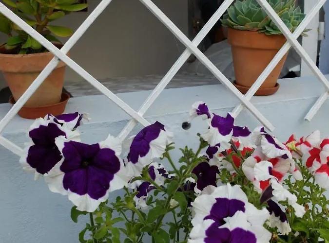 Lugar De Cal Appartement Fene